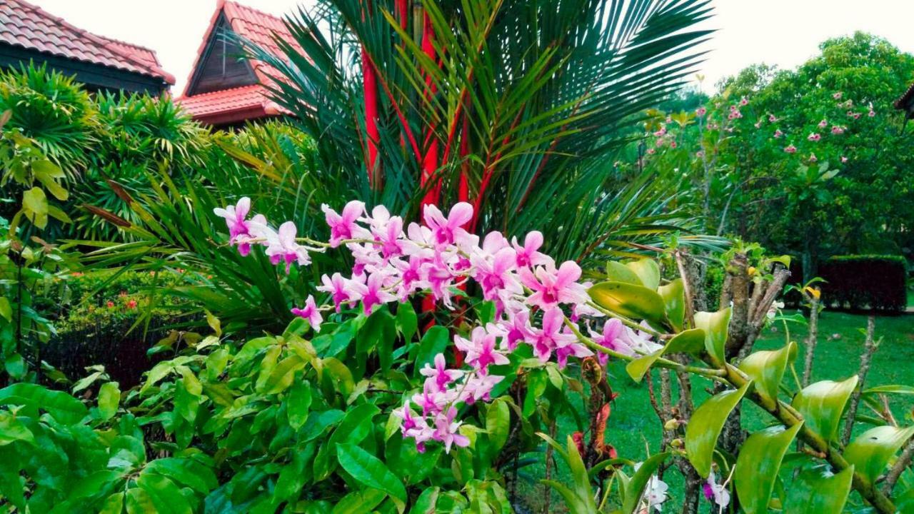 Family-Friendly House, A Few Steps From The Pool And Close To The Ocean. Mae Phim Eksteriør billede