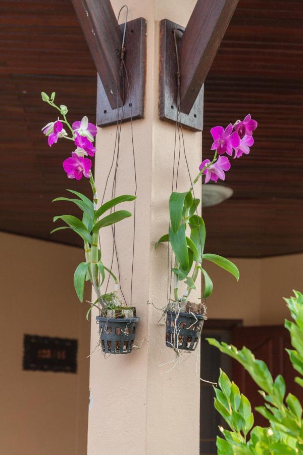 Family-Friendly House, A Few Steps From The Pool And Close To The Ocean. Mae Phim Eksteriør billede